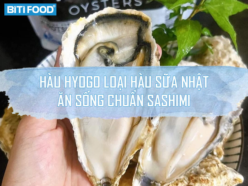 hau hyogo loai hau sua nhat an song chuan sashimi